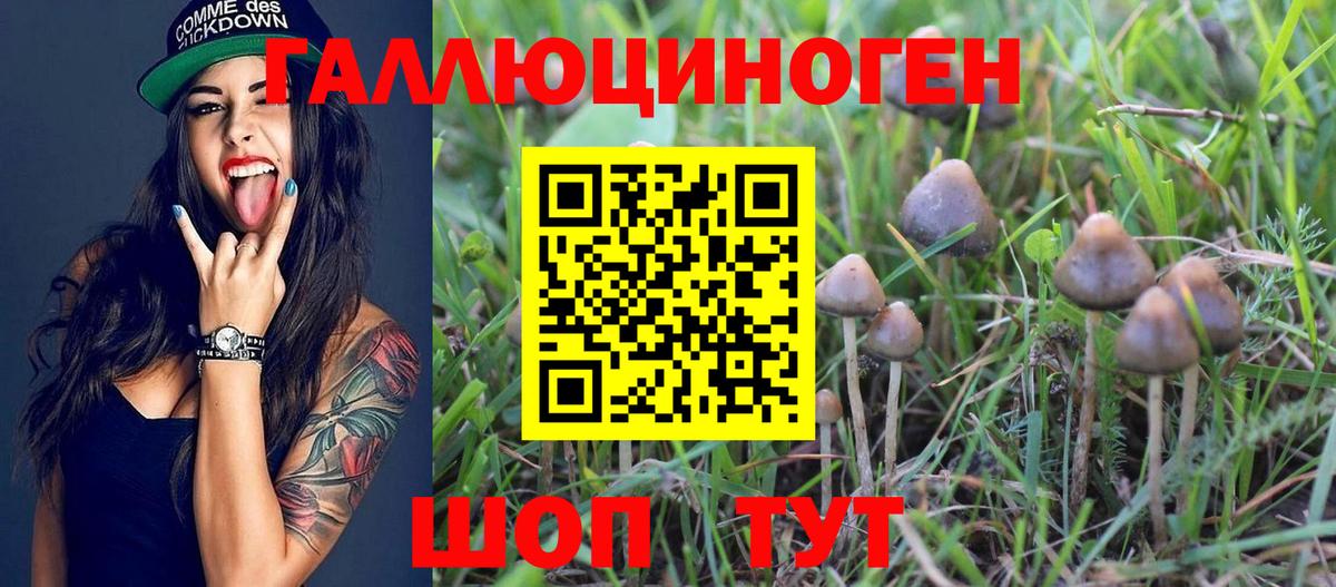 Псилоцибиновые грибы Magic Shrooms  Вход с VPN  Ипатово  Псилоцибиновые грибы мицелий 