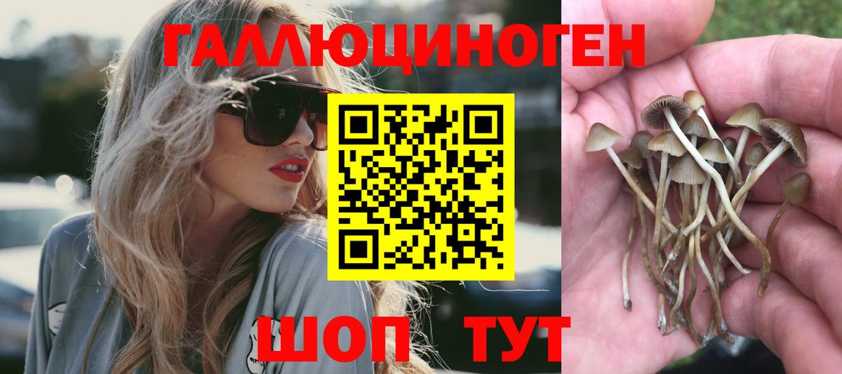 Галлюциногенные грибы мухоморы Ипатово